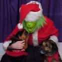 Baldwin Zel Bark TastyGrinch